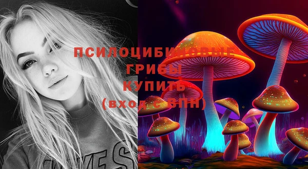 ПСИЛОЦИБИНОВЫЕ ГРИБЫ Нея