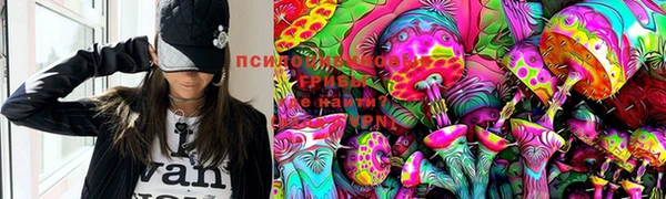 ПСИЛОЦИБИНОВЫЕ ГРИБЫ Нея